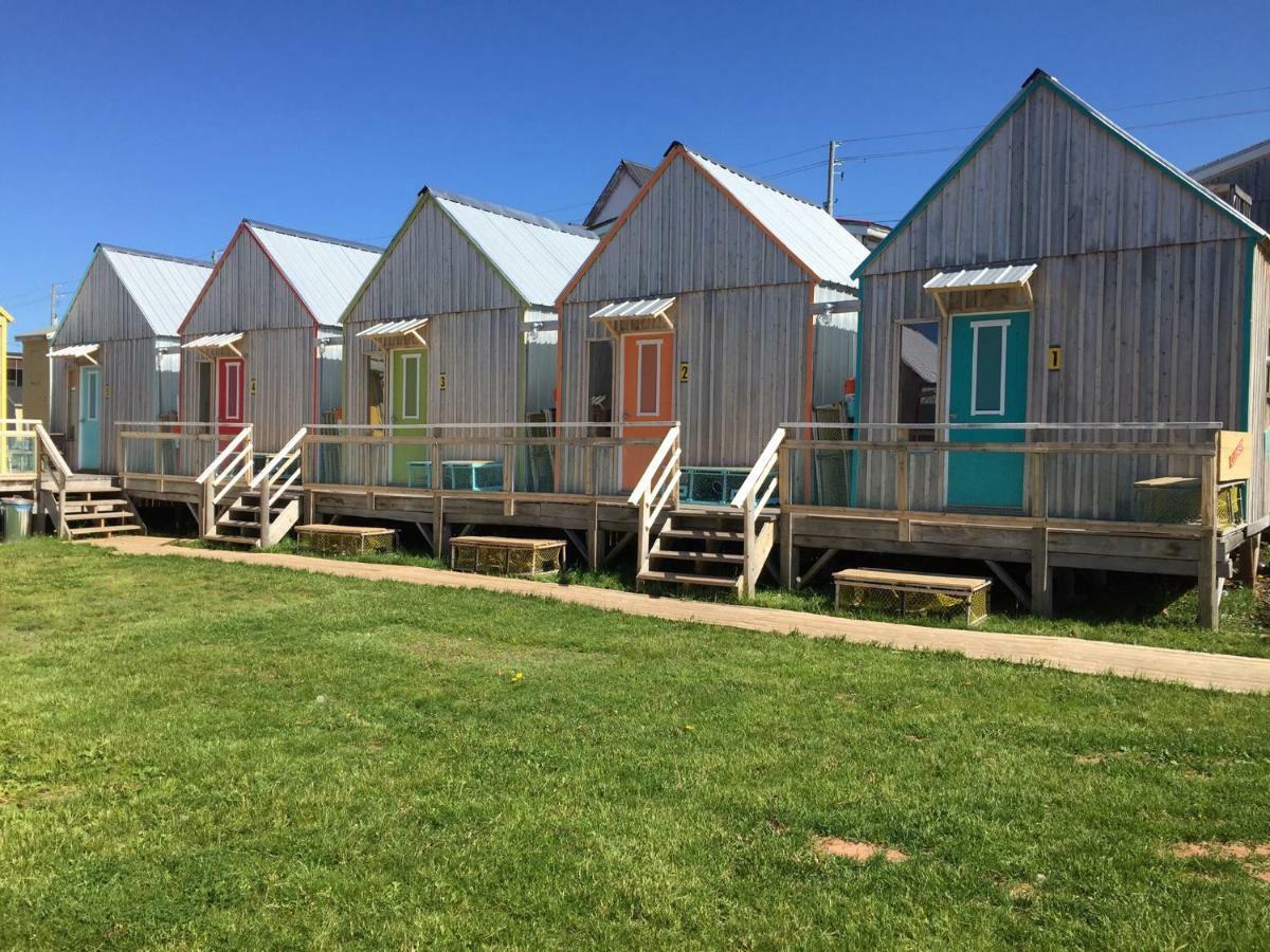 סוריס Shantystay Accommodations מראה חיצוני תמונה